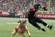 Vick2_medium