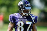 WESTMINSTER, MD - JULY 28:  Demetrius Williams #87 of the Baltimore Ravens walks back to the huddle during training camp at McDaniel College on July 28, 2009 in Westminster, Maryland.  (Photo by Greg Fiume/Getty Images)