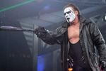 6701sting2_crop_150x100
