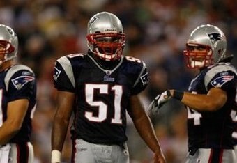 Jerodmayo_crop_340x234
