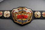 New_ecw_title_a_crop_150x100
