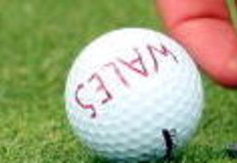 TILFORD, ENGLAND - AUGUST 05:  A close-up of the golf ball of one of the Welsh players marked with Wales during the morning's play at the Boys Home Internationals at Hankley Common Golf Club on August 5, 2009 in Tilford, England.  (Photo by Andrew Redington/Getty Images)