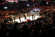 CHICAGO- OCTOBER 25: People attend the UFC 90 at UFC's Ultimate Fight Night at Allstate Arena on October 25, 2008 in Chicago, Illinois. (Photo by Tasos Katopodis/Getty Images)