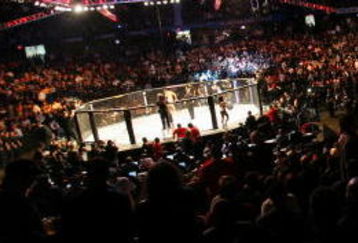 CHICAGO- OCTOBER 25:  People attend the UFC 90 at UFC's Ultimate Fight Night at Allstate Arena on October 25, 2008 in Chicago, Illinois. (Photo by Tasos Katopodis/Getty Images)