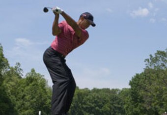 Tiger_driver_crop_340x234