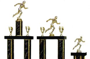 Trophies_new_black_lightning_crop_310x205