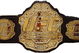 Ufcbelt_medium