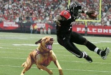 Vick_feature