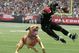 Michaelvick-dog_medium