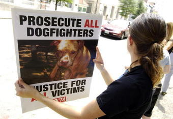 RICHMOND, VA - JULY 26:  Protestors from People for the Ethical Treatment of Animals carry signs as they wait for Atlanta Falcons quarterback Michael Vick to appear for a bond hearing and arraignment in federal court July 26, 2007 in Richmond, Virginia. Vick and three associates were indicted earlier this month on charges related to their alleged role in an interstate dogfighting ring.  (Photo by Jonathan Ernst/Getty Images)