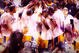 Los_angeles_lakers_nba_wallpape_medium