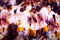 Los_angeles_lakers_nba_wallpape_small
