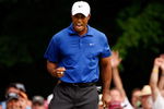 CHASKA, MN - AUGUST 15:  Tiger Woods celebrates a birdie on the 14th hole during the third round of the 91st PGA Championship at Hazeltine National Golf Club on August 15, 2009 in Chaska, Minnesota.  (Photo by Streeter Lecka/Getty Images)