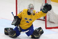 BERN, SWITZERLAND - MAY 07:  Jonas Gustavsson of Sweden tends the goal during the IIHF World Championship Quarter-Final betweenSweden and Czech Republic at the PostFinance Arena on May 7, 2009 in Bern, Switzerland.  (Photo by Mike Hewitt/Getty Images)