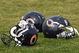 BOURBONNAIS, IL - AUGUST 04: Three Chicago Bears helmuts rest on the field during a training camp practice on August 4, 2009 at Olivet Nazarene University in Bourbonnais, Illinois. (Photo by Jonathan Daniel/Getty Images)