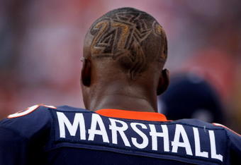 DENVER - SEPTEMBER 16:  Brandon Marshall #15 of the Denver Broncos has the numbers of teammates that died in the off season, Darrent Williams #27 and Damien Nash #29, adorned in his hair cut as the Denver Broncos defeated the Oakland Raiders 23-20 in overtime during week two NFL action at Invesco Field at Mile High on September 16, 2007 in Denver, Colorado.  (Photo by Doug Pensinger/Getty Images)