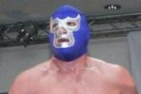 Blue_demon_jr_champ_more_feature