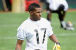 PITTSBURGH - MAY 01:  Mike Wallace #17 of the Pittsburgh Steelers stretches during rookie training camp at the Pittsburgh Steelers Practice Facility on May 1, 2009 in Pittsburgh, Pennsylvania.  (Photo by Joe Sargent/Getty Images)