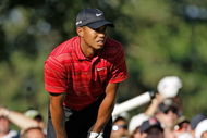 CHASKA, MN - AUGUST 16: Tiger Woods reacts to his poor tee shot on the 17th hole during the final round of the 91st PGA Championship at Hazeltine National Golf Club on August 16, 2009 in Chaska, Minnesota. (Photo by Jamie Squire/Getty Images)