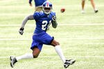 Alg_giants_crop_150x100