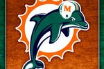 Dolphin_loo_3g_crop_150x100