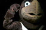 COLLEGE PARK, MD - JANUARY 21:  The Maryland Terrapins mascot, Testudo, cheers prior to the game against the Virginia Tech Hokies on January 21, 2006 at Comcast Center in College Park, Maryland.  (Photo by Jamie Squire/Getty Images)