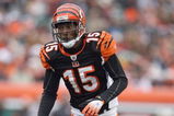 CINCINNATI - DECEMBER 14:  Chris Henry #15 of the Cincinnati Bengals gets ready on the field during the NFL game against the Washington Redskins on December 14, 2008 at Paul Brown Stadium in Cincinnati, Ohio. The Bengals won 20-13. (Photo by Andy Lyons/Getty Images)