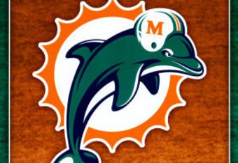 Dolphin_loo_3g_crop_340x234