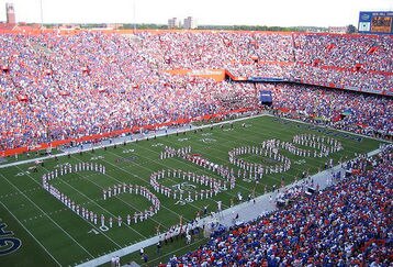 Gators_feature