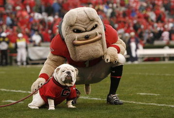 ATHENS, GA - NOVEMBER 29:  Georgia Bulldogs mascots Hairy Dawg (R) and UGA VII pose together for photos before the game against the Georgia Tech Yellow Jackets at Sanford Stadium on November 29, 2008 in Athens, Georgia.  The Yellow Jackets defeated the Bulldogs 45-42.  (Photo by Mike Zarrilli/Getty Images)