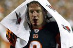 Carson_palmer2662--nfl_small_50_crop_150x100