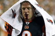 Carson_palmer2662--nfl_small_50_crop_190x127