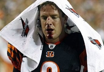 Carson_palmer2662--nfl_small_50_crop_340x234