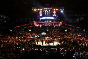 CHICAGO- OCTOBER 25:  People attend the UFC 90 at UFC's Ultimate Fight Night at Allstate Arena on October 25, 2008 in Chicago, Illinois. (Photo by Tasos Katopodis/Getty Images)