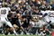 CORVALLIS, OR - NOVEMBER 15:  Jacquizz Rodgers #1 of the Oregon State Beavers runs with the ball against the California Golden Bears at Reser Stadium on November 15, 2008 in Corvalis, Oregon.  (Photo by Jonathan Ferrey/Getty Images)