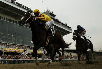 BALTIMORE - MAY 16:  Jockey Calvin Borel riding Rachel Alexandra wins the 134th Running of the Preakness Stakes at Pimlico Race Course on May 16, 2009 in Baltimore, Maryland.  (Photo by Al Bello/Getty Images)