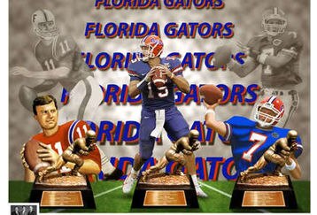 University_of_florida_gators_qu_feature