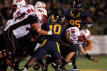BERKELEY, CA - SEPTEMBER 05:  The California Golden Bears force Chris Turner #10 of the Maryland Terrapins to fumble the ball during the first half of their game at California Memorial Stadium on September 5, 2009 in Berkeley, California.  (Photo by Ezra Shaw/Getty Images)