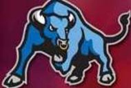 Buffalo_crop_190x127