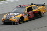 HAMPTON, GA - SEPTEMBER 05:  Jeff Burton, driver of the #31 Caterpillar Chevrolet, practices for the NASCAR Sprint Cup Series Pep Boys Auto 500 at Atlanta Motor Speedway on September 5, 2009 in Hampton, Georgia.  (Photo by Todd Warshaw/Getty Images)