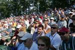 NORTON, MA - SEPTEMBER 05:  Fans follow the action during the second round of the Deutsche Bank Championship at TPC Boston held on September 5, 2009 in Norton, Massachusetts.  (Photo by Michael Cohen/Getty Images)