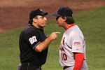HOUSTON - OCTOBER 16:  Manager Tony La Russa #10 of the St. Louis Cardinals argues with home plate umpire Phil Cuzzi after being thrown out of Game Four of the National League Championship Series against the Houston Astros at Minute Maid Park on October 16, 2005 in Houston, Texas.    (Photo by Elsa/Getty Images)