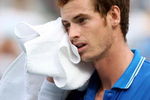 NEW YORK - SEPTEMBER 08:  Andy Murray of Great Britain wipes his face during his match against Marin Cilic of Croatia during day nine of the 2009 U.S. Open at the USTA Billie Jean King National Tennis Center on September 8, 2009 in the Flushing neighborhood of the Queens borough of New York City.  (Photo by Nick Laham/Getty Images)
