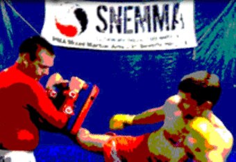 Snemmasmall_crop_340x234