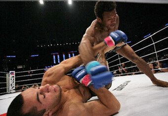 Gegard_crop_340x234