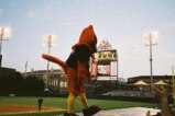 Redbirds_mascot_more_feature