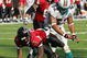 MIAMI - NOVEMBER 6:  Linebacker Channing Crowder #52 of the Miami Dolphins knocks down quarterback Michael Vick #7 of the Atlanta Falcons on November 6, 2005 at Dolphins Stadium in Miami, Florida. The Falcons defeated the Dolphins 17-10. (Photo by Paul Spinelli/Getty Images)