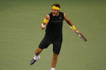 NEW YORK - SEPTEMBER 10:  Juan Martin Del Potro of Argentina celebrates match point during the Men's Singles Quarterfinals match against Marin Cilic of Croatia during day eleven of the 2009 U.S. Open at the USTA Billie Jean King National Tennis Center on September 10, 2009 in the Flushing neighborhood of the Queens borough of New York City.  Del Potro defeated Cilic 4-6, 6-3, 6-2, 6-1.  (Photo by Matthew Stockman/Getty Images)