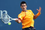 NEW YORK - SEPTEMBER 09:  Novak Djokovic of Serbia returns a shot during his match against Fernando Verdasco of Spain during day ten of the 2009 U.S. Open at the USTA Billie Jean King National Tennis Center on September 9, 2009 in the Flushing neighborhood of the Queens borough of New York City.  (Photo by Jim McIsaac/Getty Images)