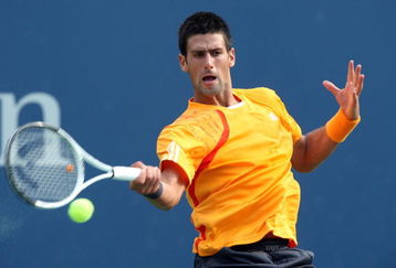 NEW YORK - SEPTEMBER 09:  Novak Djokovic of Serbia returns a shot during his match against Fernando Verdasco of Spain during day ten of the 2009 U.S. Open at the USTA Billie Jean King National Tennis Center on September 9, 2009 in the Flushing neighborhood of the Queens borough of New York City.  (Photo by Jim McIsaac/Getty Images)